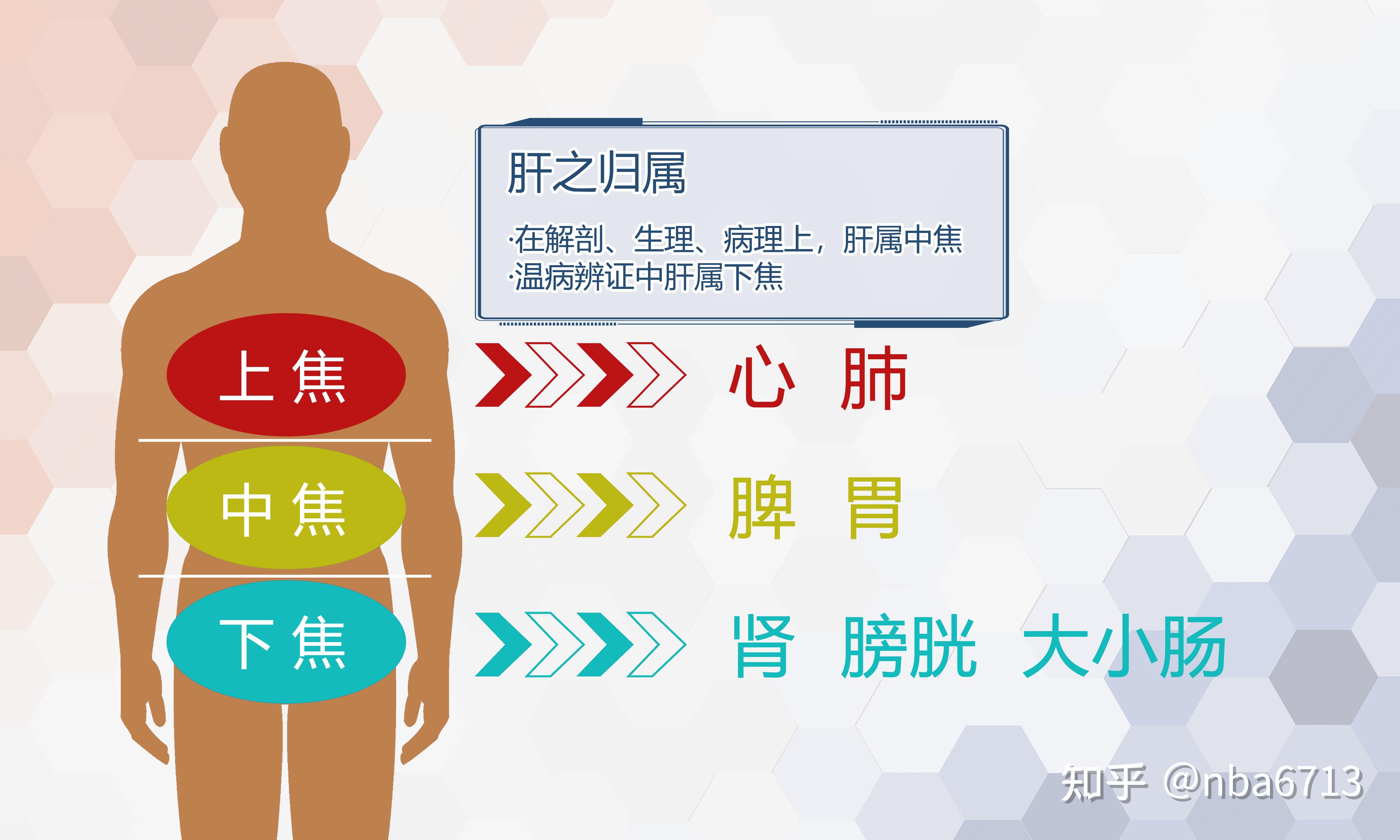 慢性前列腺炎,中医如何辨证论治? - 知乎