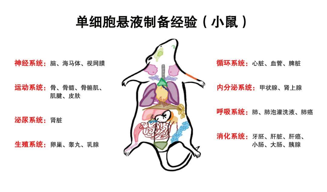 女机器人电影