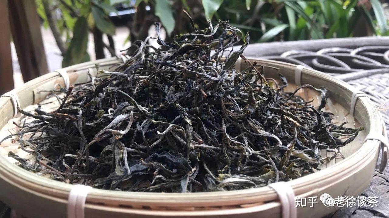 老徐問答第27問普洱茶的頭春茶和正春茶哪個更好