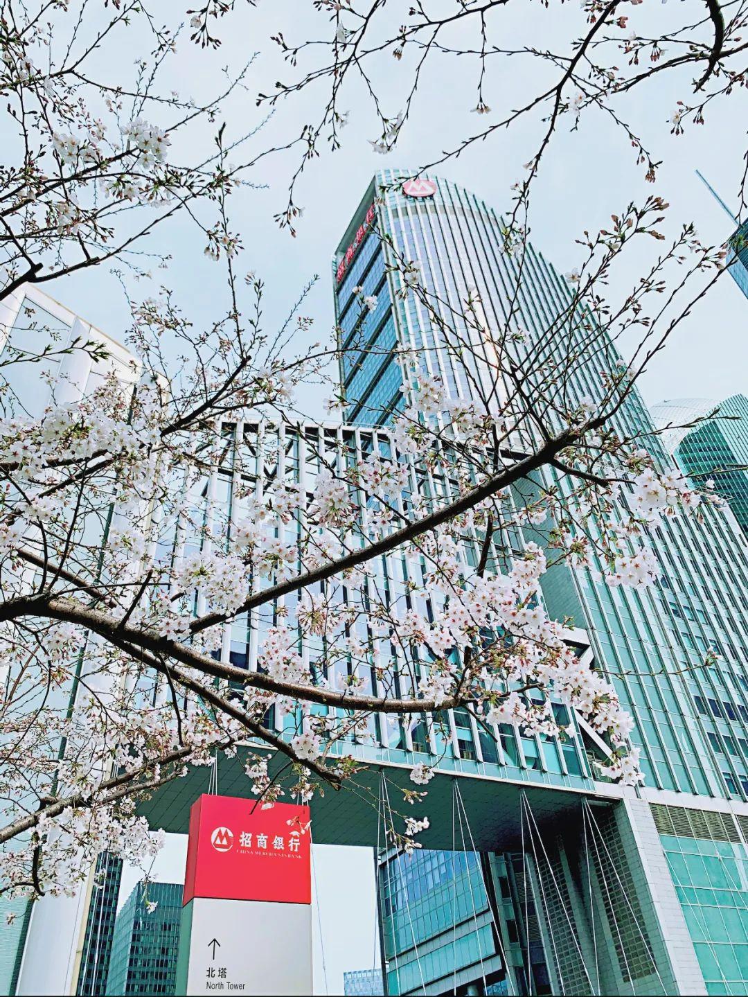 招商银行上海分行积极开展2021年普及金融知识万里行活动