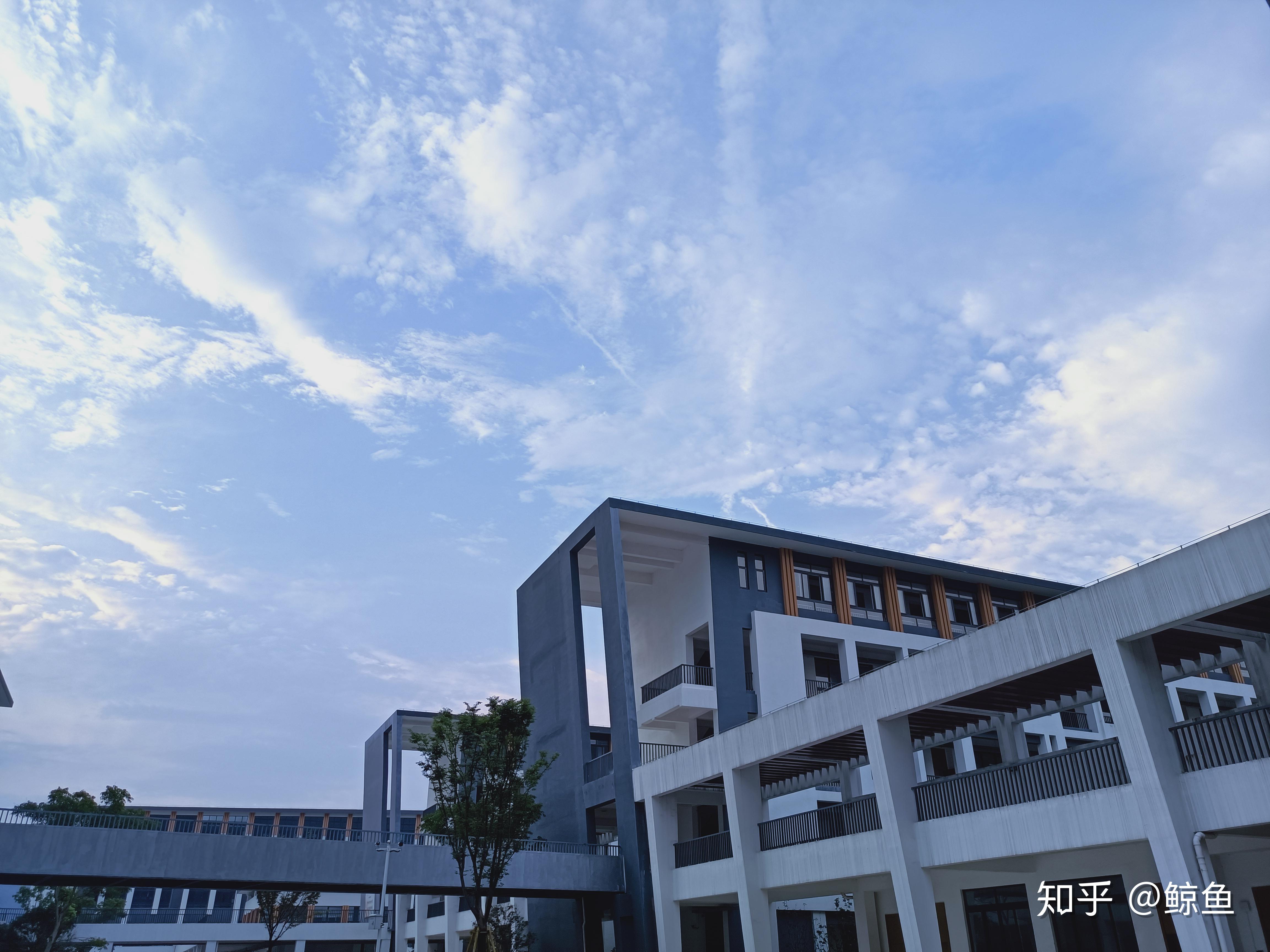 在温州人文高级中学读怎么样