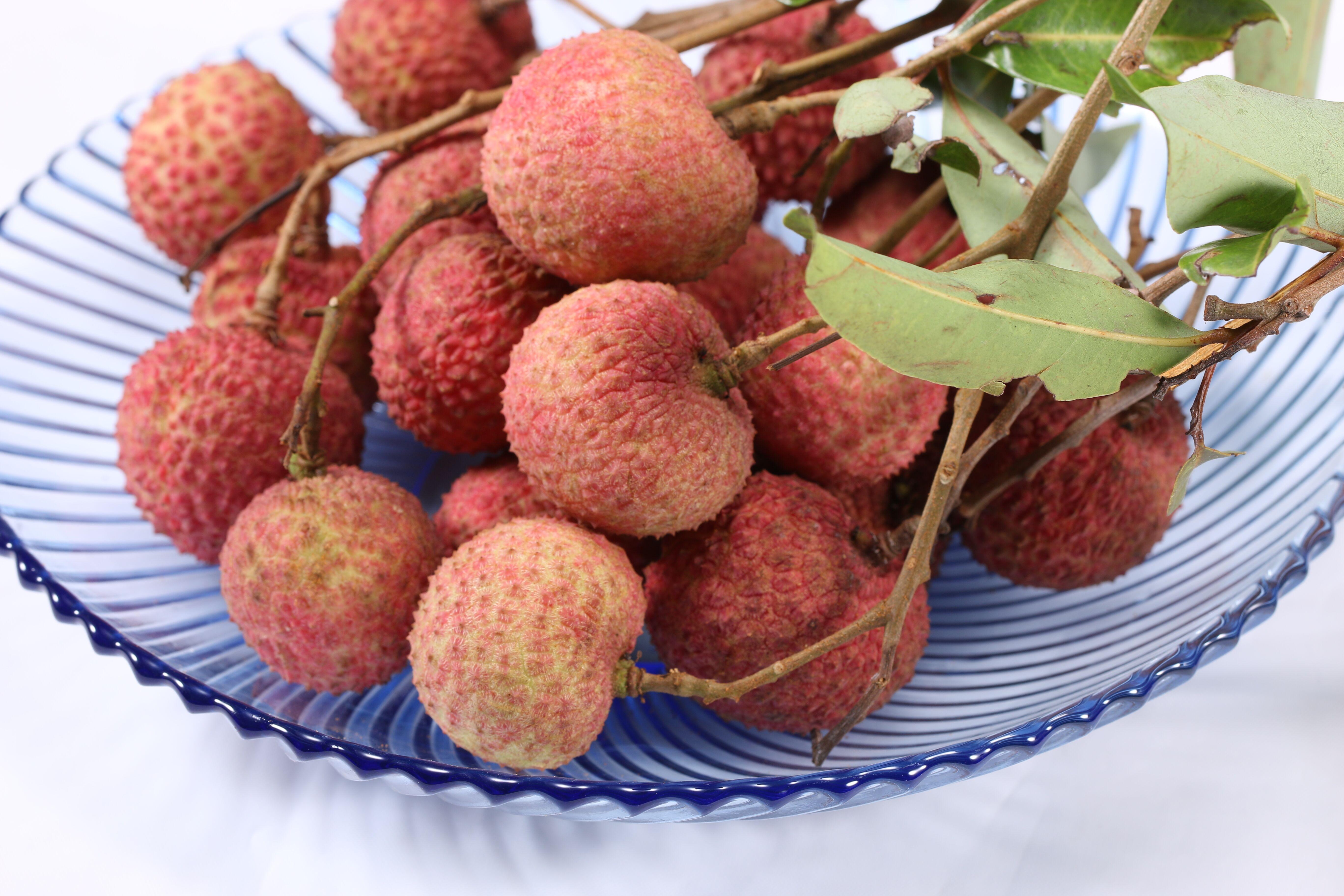 广西禾荔 - 知乎