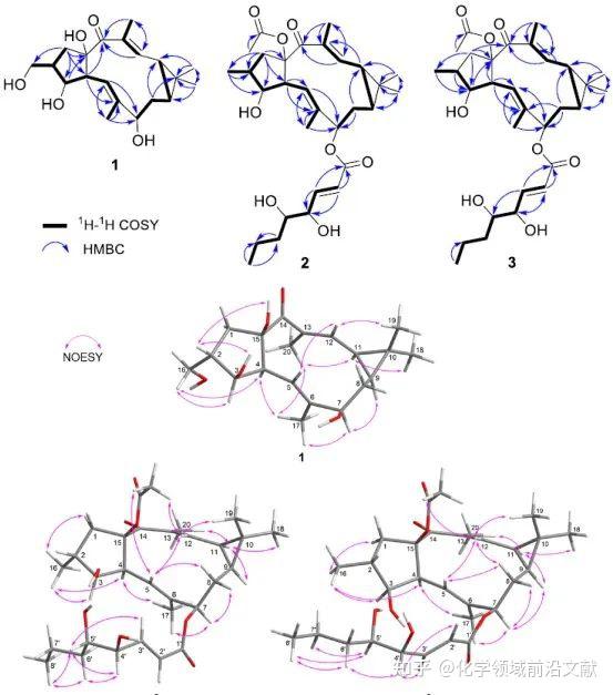 作者進一步利用1h-nmr,13c-nmr,hsqc,hmbc,1h-1h cosy確定了化合物的