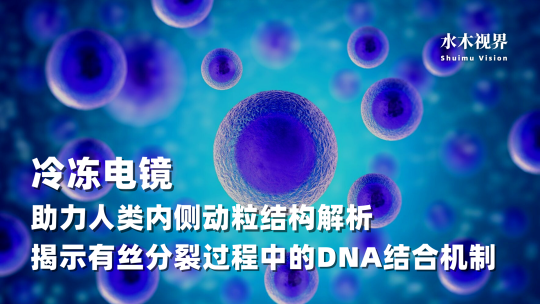 冷冻电镜助力人类内侧动粒结构解析,揭示了有丝分裂过程中的DNA结合机制 | 水木视界iss.40 - 知乎