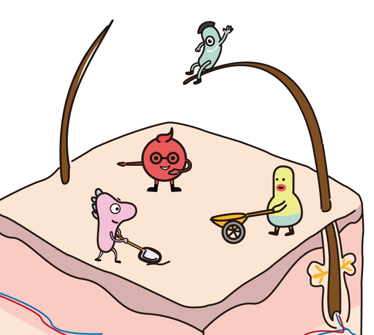 从皮肤微生物角度看如何科学护肤