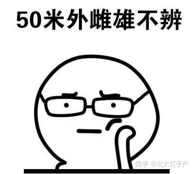 v2-b99f5029f79041a6c24bc70296eb84f7_b.jpg