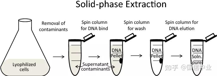DNA 提取的方法和步骤 - 知乎
