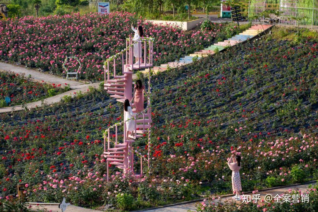 争创天府旅游名县|再见2022,细数那些时光里的小美好