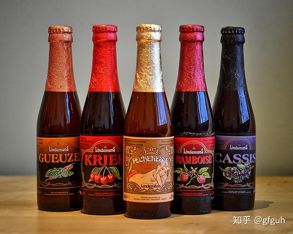 各种酸啤兰比克老布朗简介及家庭酿造