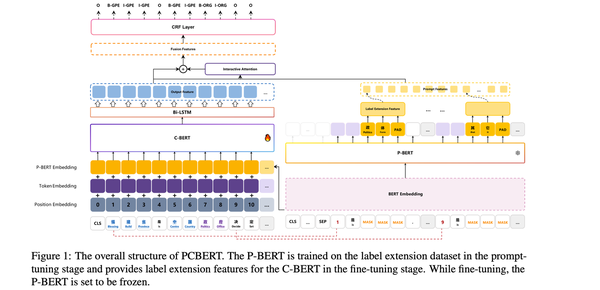 PCBERT : 中文NER 融入词典信息+标签信息+迁移Prompt Tuning - 知乎