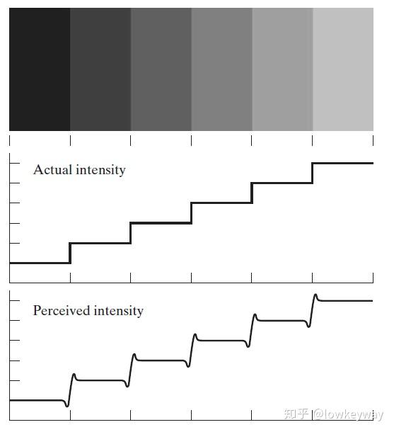 第二章数字图像基础一视觉感知要素