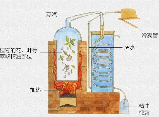 水蒸馏法蒸馏法按照具体操作方式的不同又分为一下几种方式 蒸馏萃取