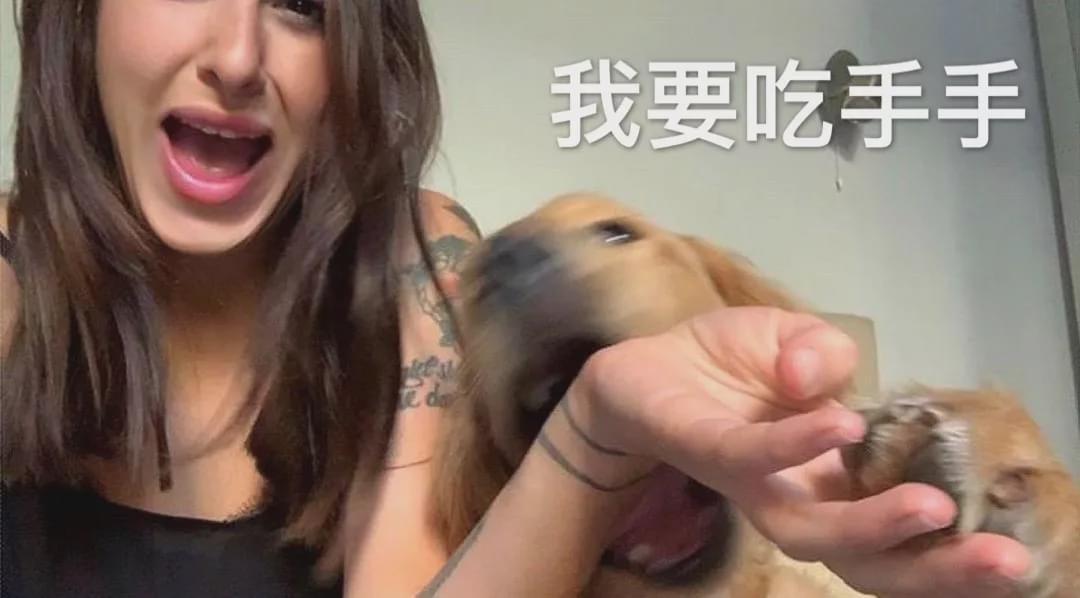金毛对待老大爷小心翼翼,一见到小姐姐就瞬间变狂野了