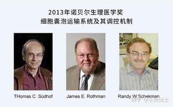 从细胞垃圾到诺奖新贵：小囊泡“外泌体”的逆袭之路 - 知乎
