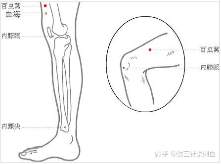 百虫窝穴怎么找准确位置图及作用功效