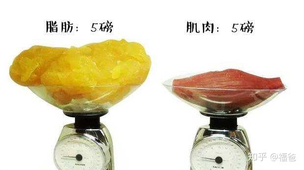 刚才分析了,不吃晚饭1个月会减少4斤体重,注意:是4斤体重,不是4斤脂肪