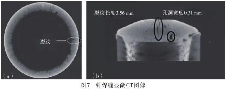 一文读懂显微CT（Micro-CT） - 知乎