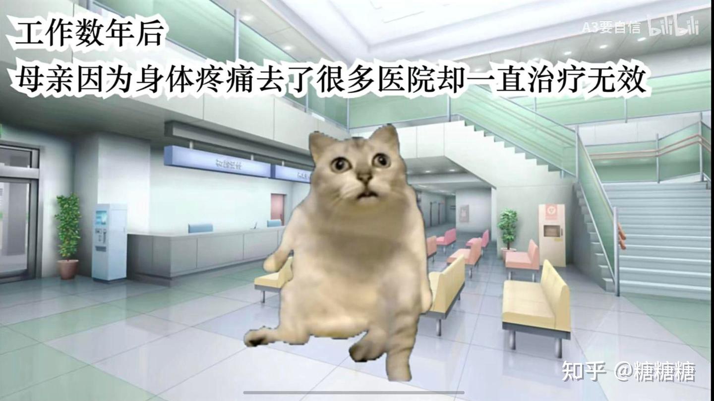 心理学视角下看猫meme表情包的爆火- 知乎