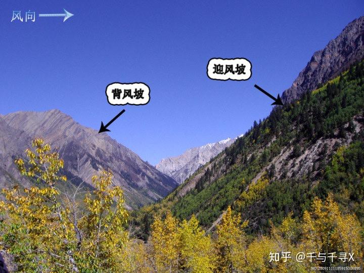 转西天路上狮驼国2碎叶城