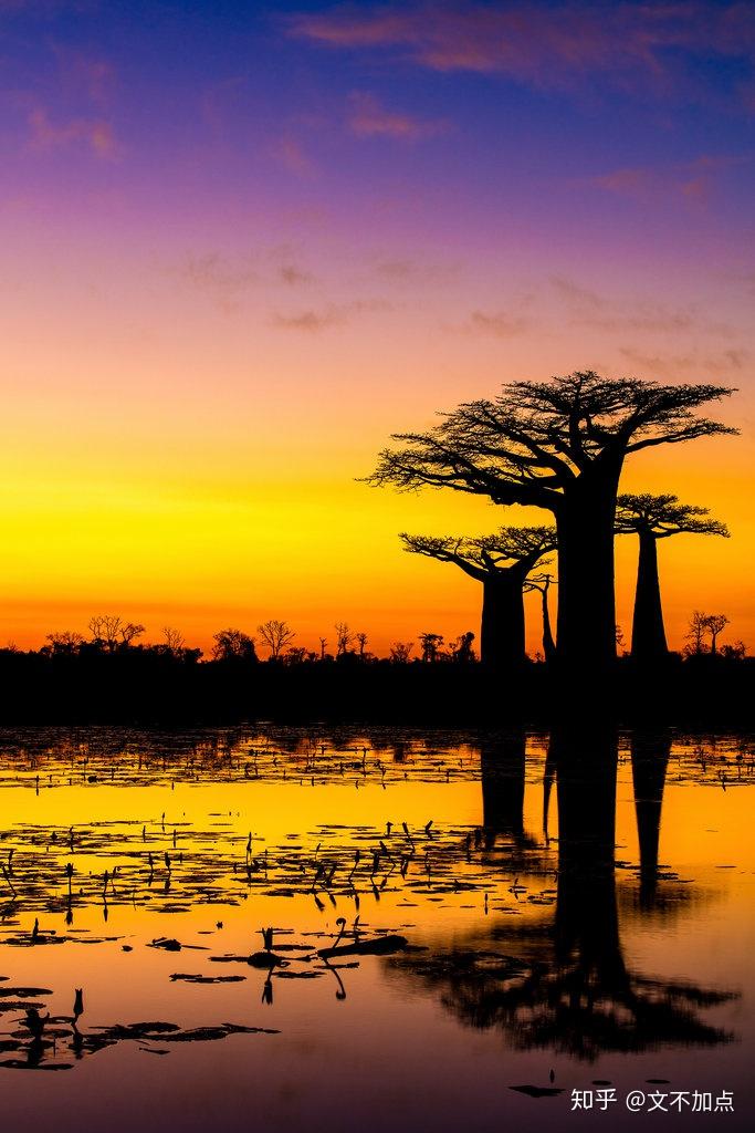 马达加斯加的那些美景,你们都见过吗?