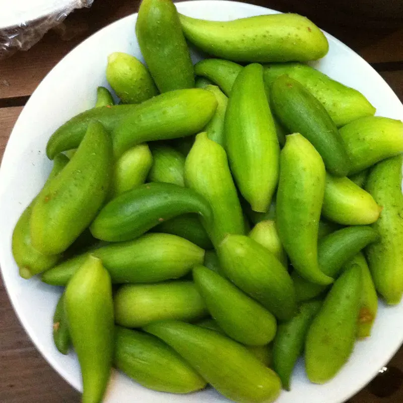 失眠的人啊,一定要去腾冲! - 知乎