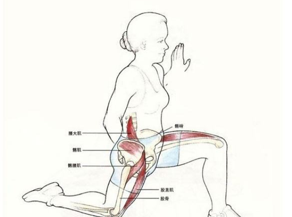 假胯寬大腿粗到底是哪裡出問題了呢一招能搞定嗎