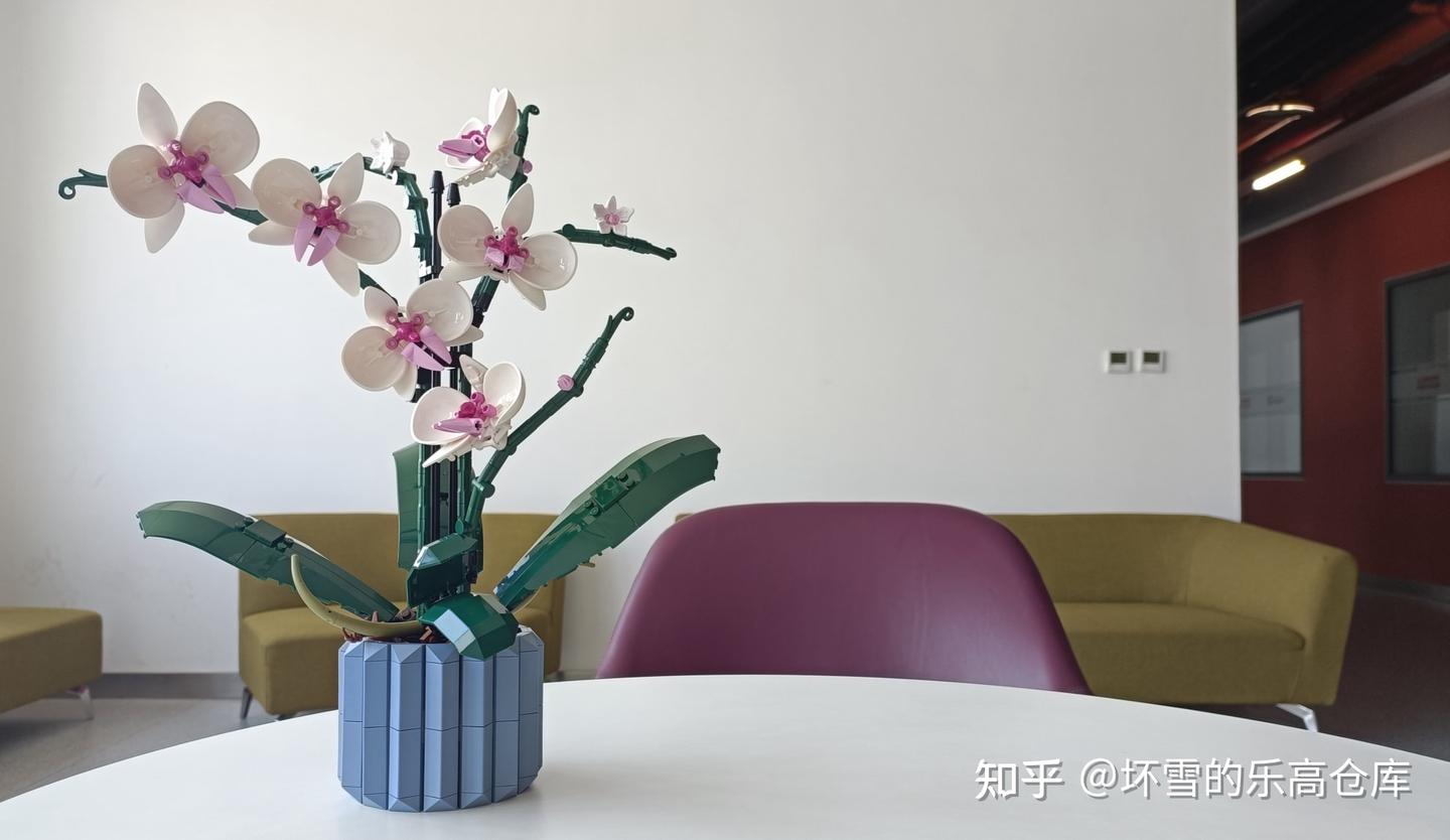 植物系列最佳,不输爆款花束!乐高10311兰花测评 - 知乎