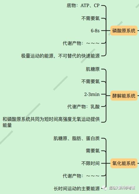 运动生理学重点梳理3--呼吸机能 & 物质与能量代谢