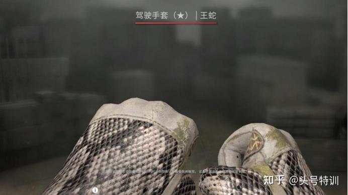 王蛇手套用王蛇鳞片迷彩覆盖整个皮手套