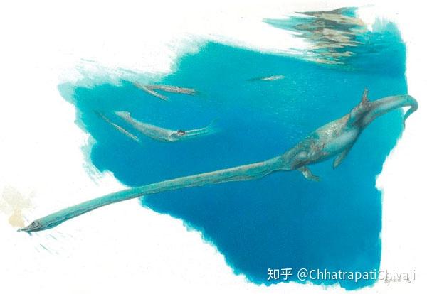 但是伦巴底龙(langobardisaurus)和幼年的长颈龙却有着三尖型齿尖的颊