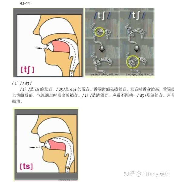 48个国际音标发音舌位图 - 知乎