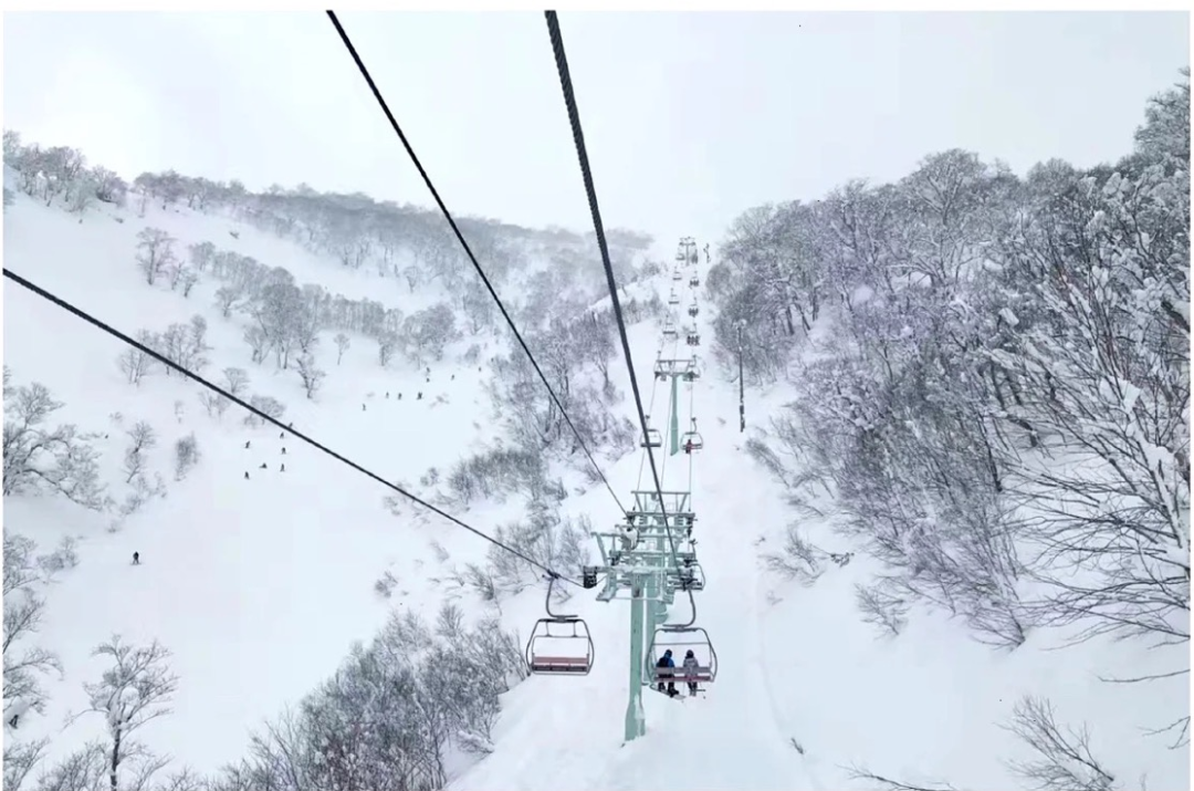 雪圈沸腾,粉雪天堂二世古Nesiko奢华度假村项目来了,直击上海发售会现场! - 知乎