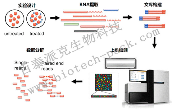 轉錄組學與代謝組學整合分析