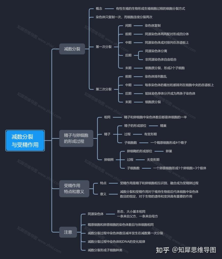 知乎@知犀思维导图图片