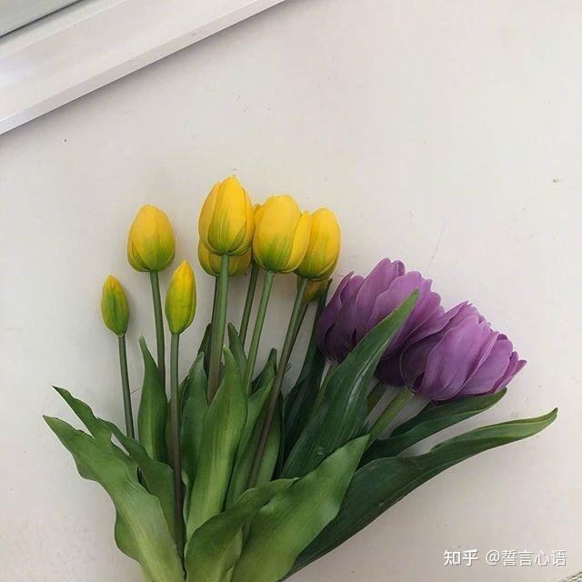 越看越喜欢的唯美文案简单干净人人点赞