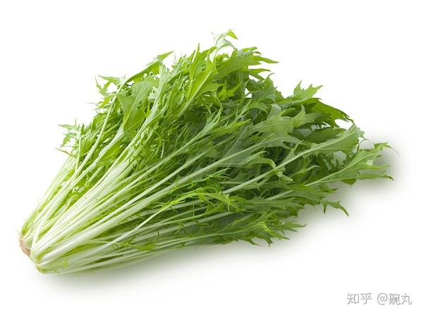 1,苦菊?芝麻菜?