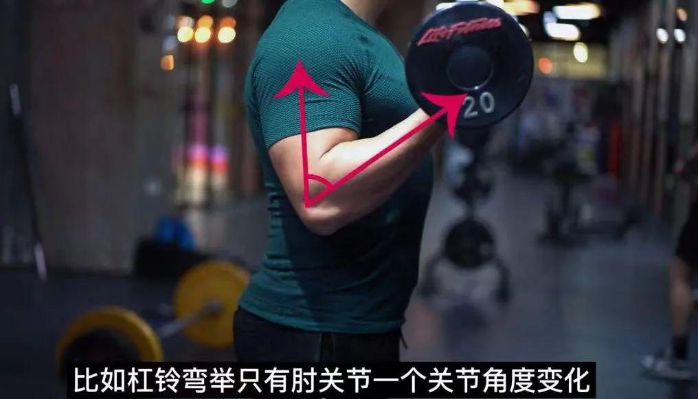 （文字动图版）成为健身高手的捷径—复合动作 - 知乎