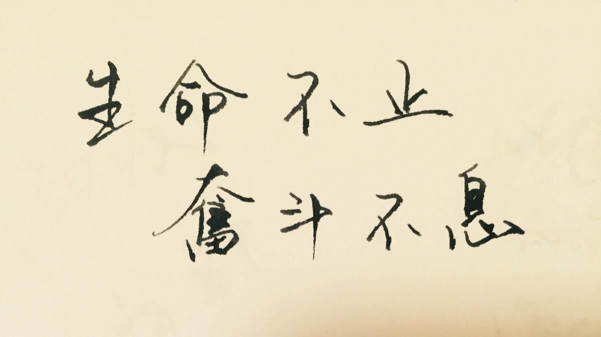 26 人 赞同了该文章 编程入门教程 - c语言网 www.dotcpp.