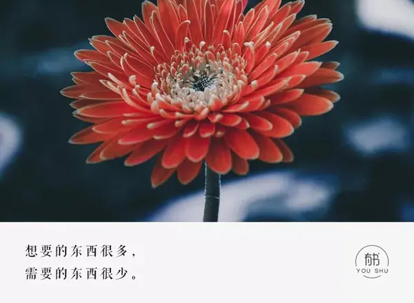 群里朋友投票感谢语_群投票文案_微信群是投票感动