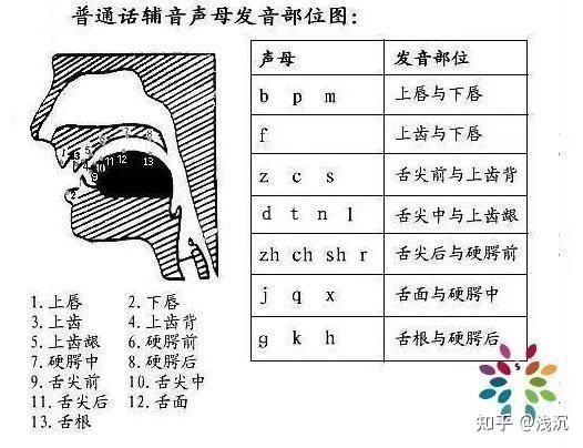 【普通话】儿化音练习 - 知乎