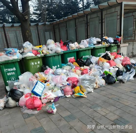 物业公司强行退场导致小区垃圾成山,谁该负责? - 知乎