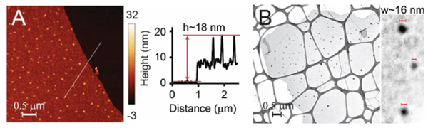 原位系列之原位AFM篇 - 知乎