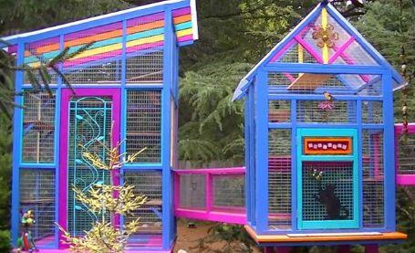 来围观这些家里有院子的猫奴们给猫咪们设计的游乐园