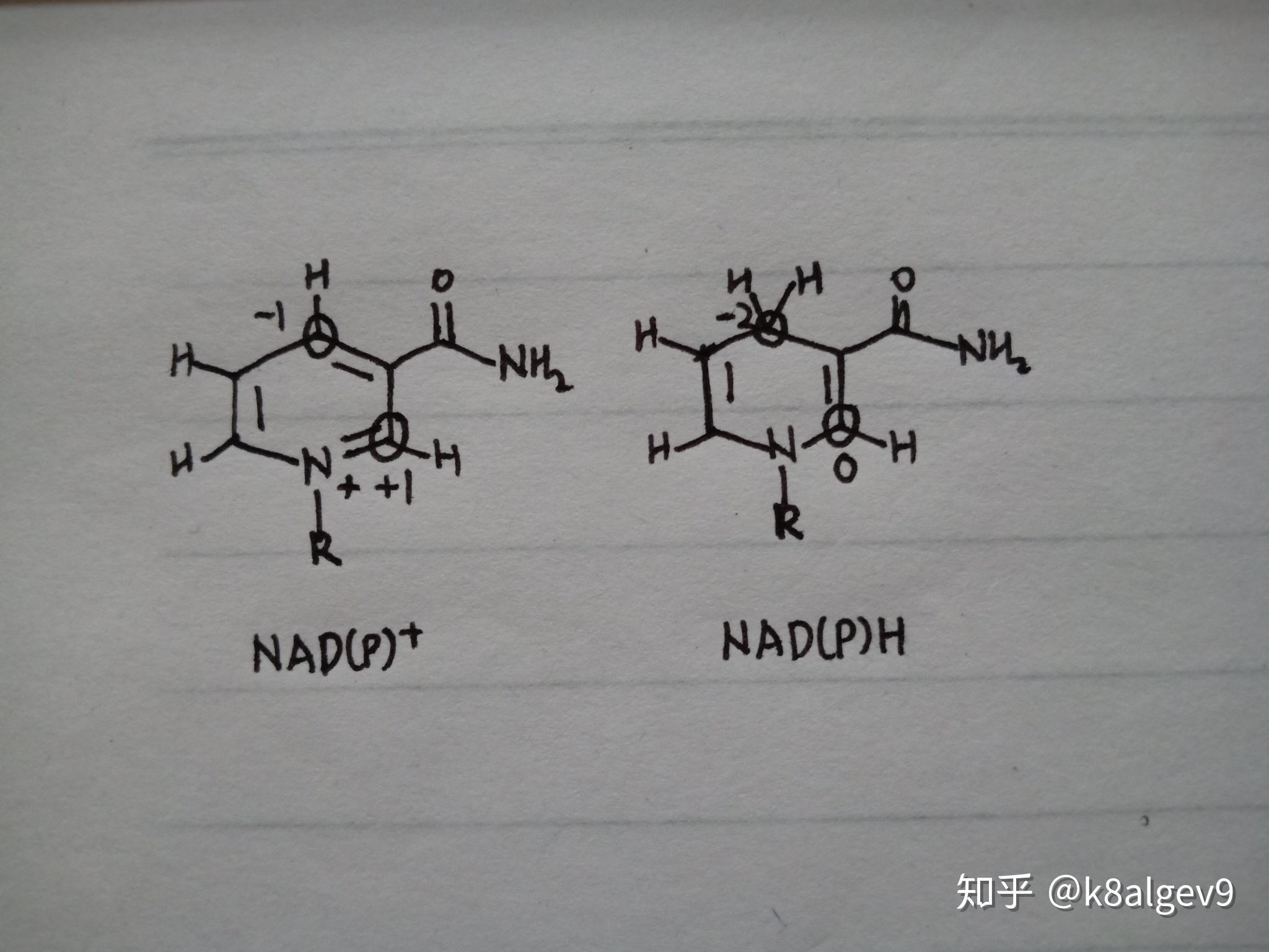 NADH和NADPH中氢元素的化合价是-1价吗?