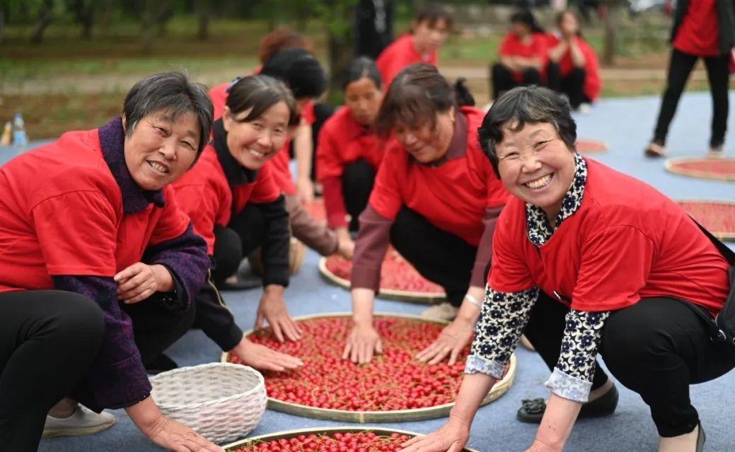 2021年义马樱桃节图片