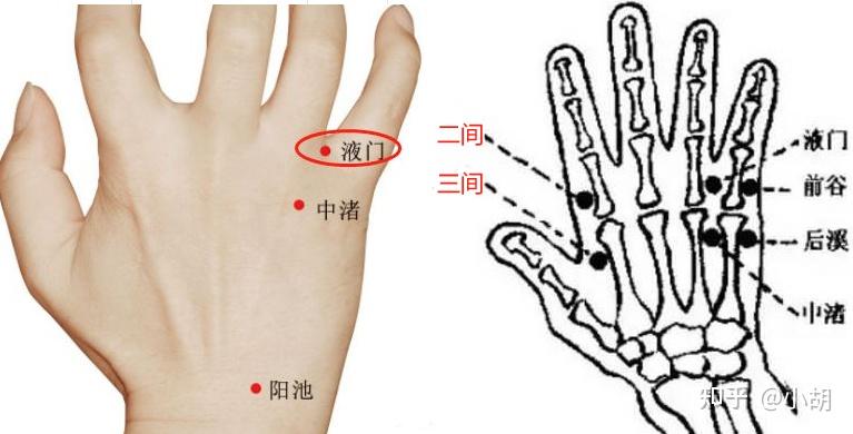 倪海厦针灸课笔记(17)手少阳三焦经 - 知乎