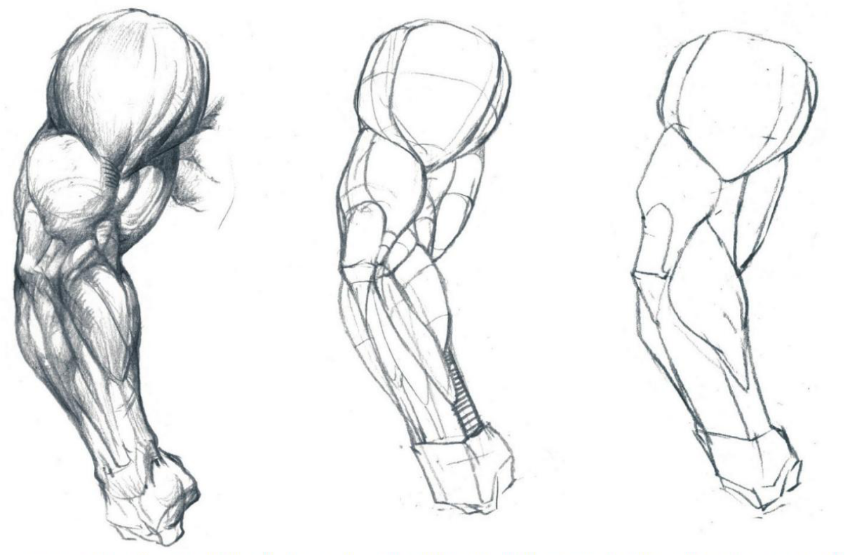 v2-bb0cde0ee0f6f488387a8418ccc7a89b_1440w.jpg?source=172ae18b