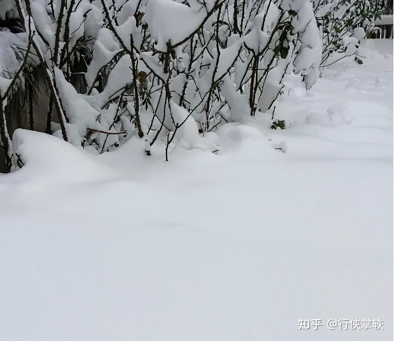暴雪来袭郑州已经开始下雪春运即将进入最复杂阶段出行遇极端天气要备