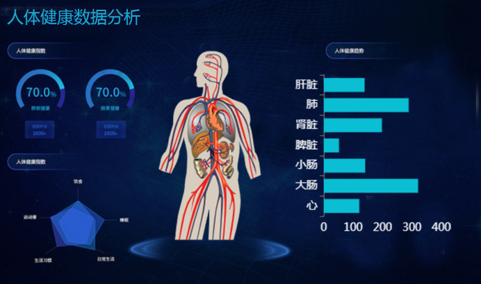 数据可视化之图形指标图 带你更全面了解身体各部位指数