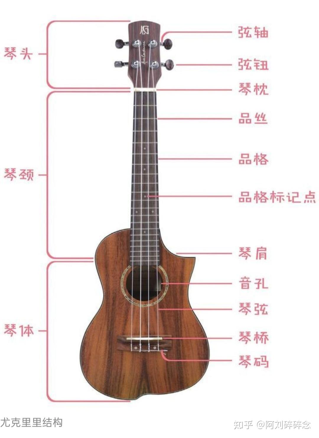 带你认识全世界最简单的乐器之一尤克里里